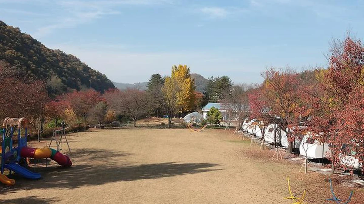“충북 괴산에 이런 곳이?”… 30만 평 자연 속 글램핑 명소