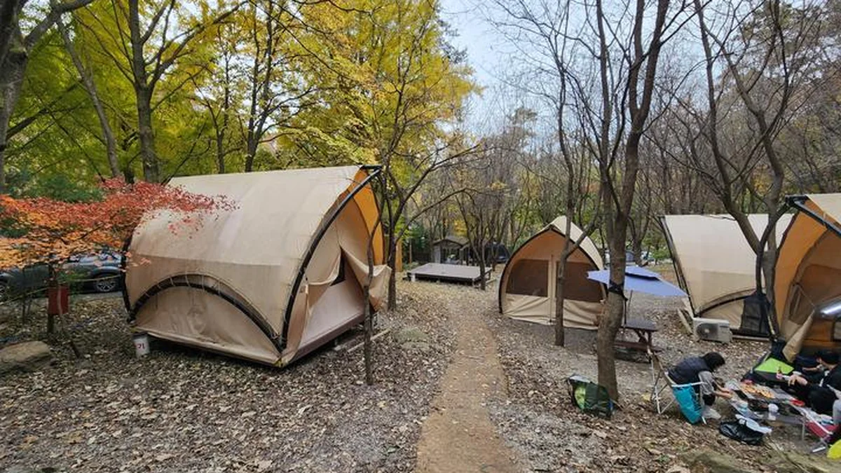 “엄청난 3만 평 자연 속 힐링이라니”… 경기도 중심 10km 위치 명소