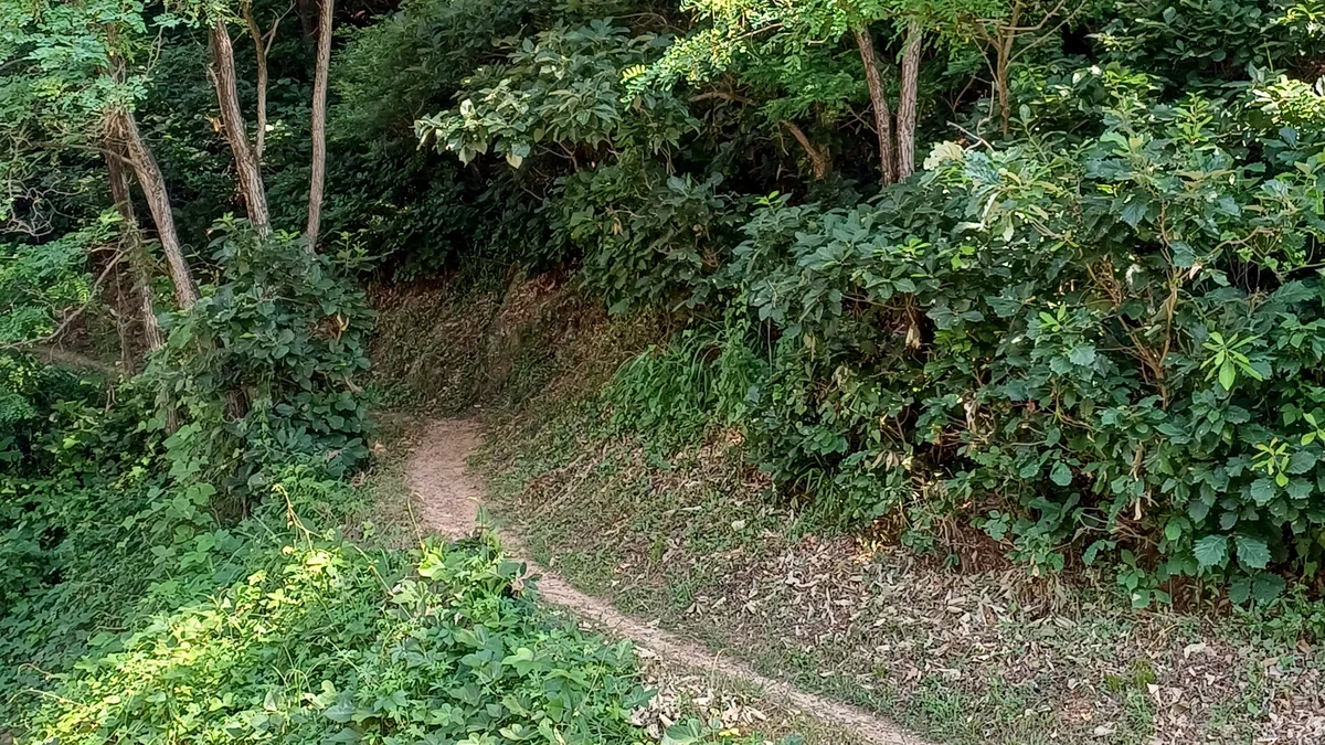 몽상핀