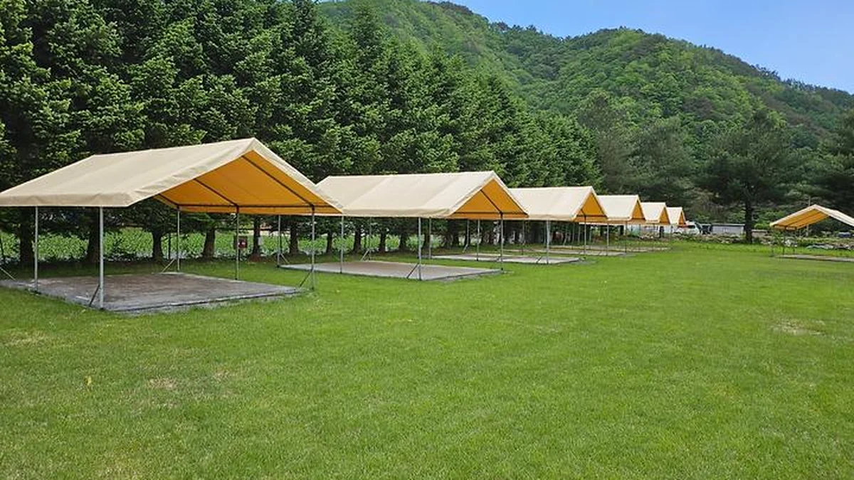 “이렇게 넓은 10,000㎡에 그늘이 진짜 많아요”… 자연 속 불교 체험 명소