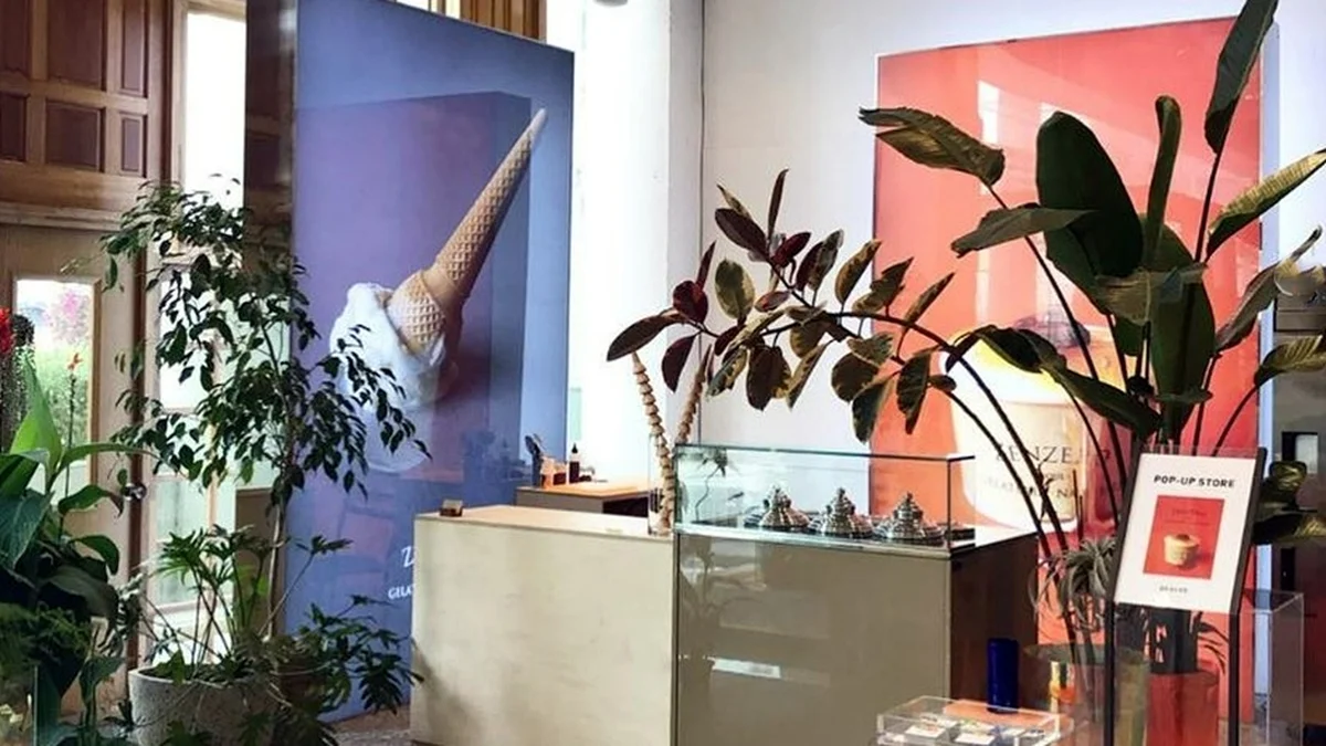젠제로