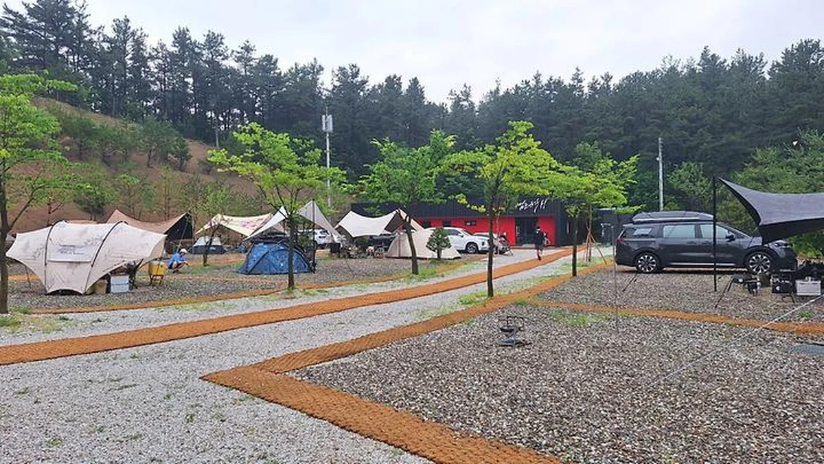 “경기도 포천에 이런 장소가?”… 숲 속 5만 평 캠핑 명소