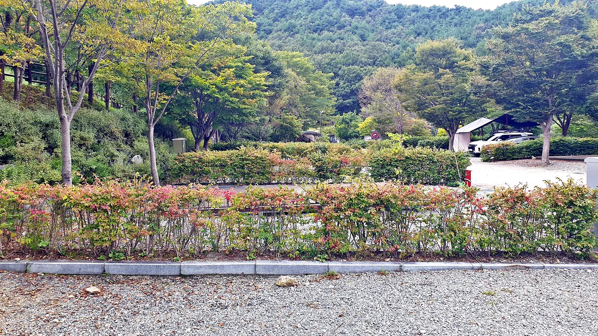 대둔산 수락오토캠핑장