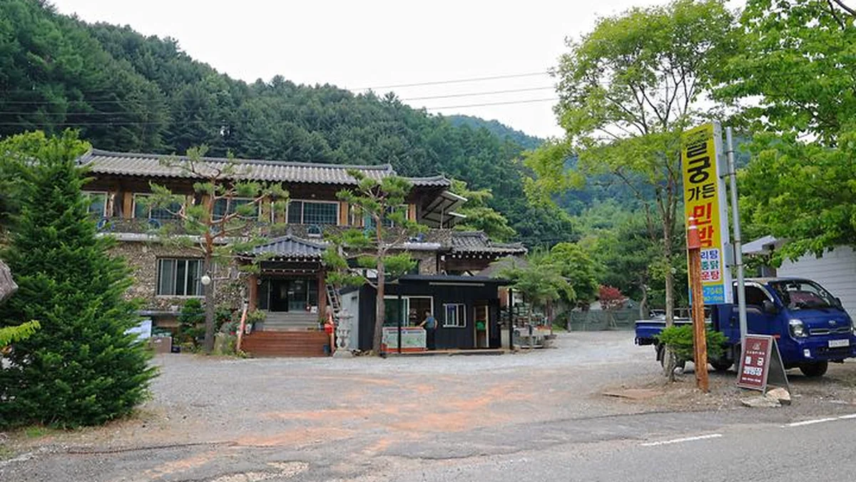 “나무 사이로 비치는 햇살, 진짜 힐링 라니”… 어비계곡 초입 53번지 명소
