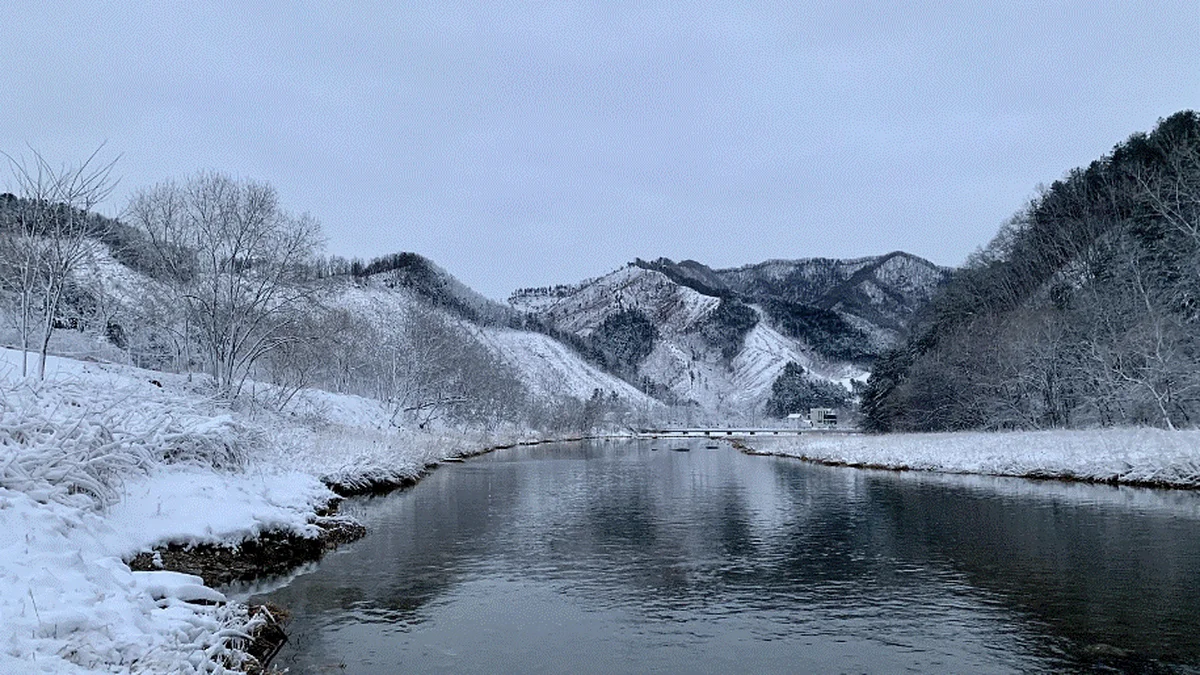 우리들캠핑장