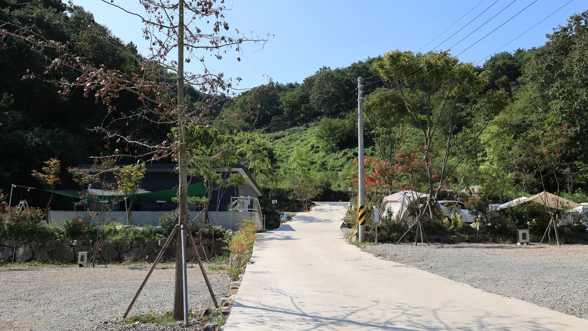 연꽃자리캠핑타운