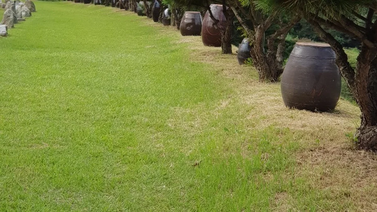 별밤 야영장