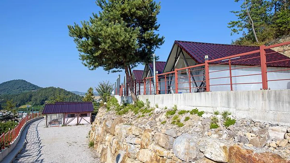 “도심에서 50km 떨어진 곳에 이런 곳이?”… 반려동물과 자연 속 힐링 여행지