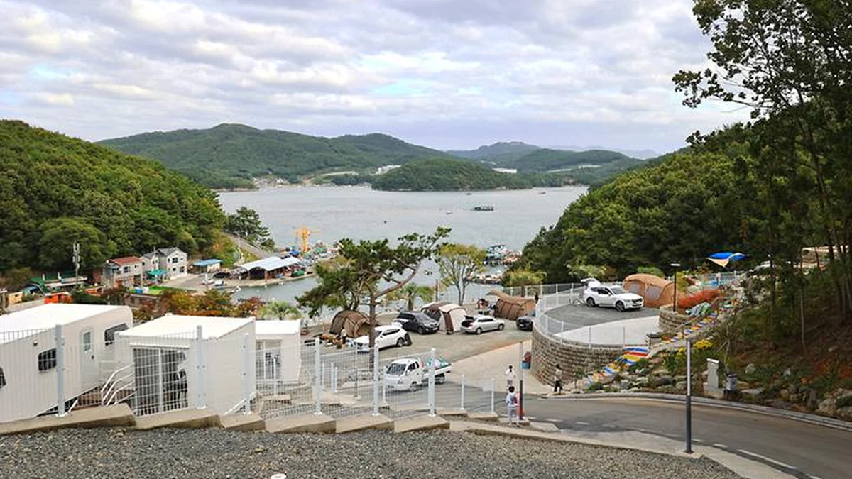 더 숨 포레스트