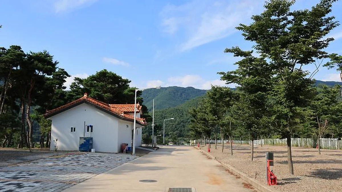 “진짜 감동! 솔향기 따라 991m 달린다고?”… 청량한 공기 가득한 초록여울 캠핑 코스