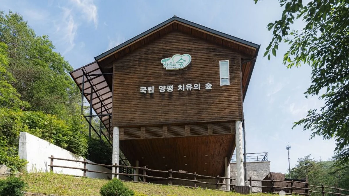 양평 몽 캠핑장