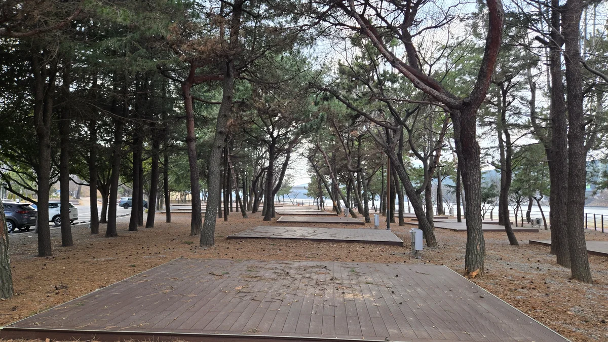 배알도 별빛야영장