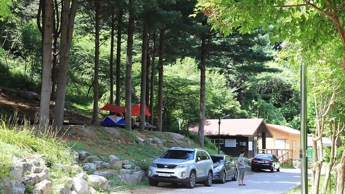 “서울서 70km만 오면 이런 평온함이?”… 바쁜 일상 벗어나는 자연 명소