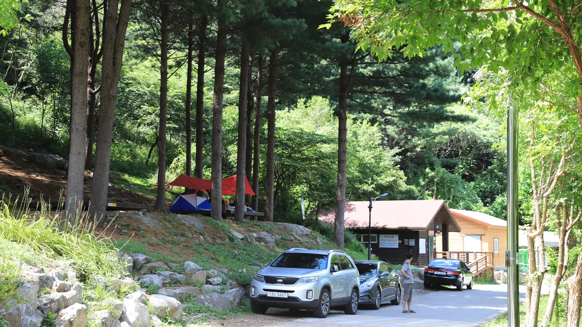 국립자연휴양림관리소(중미산자연휴양림)