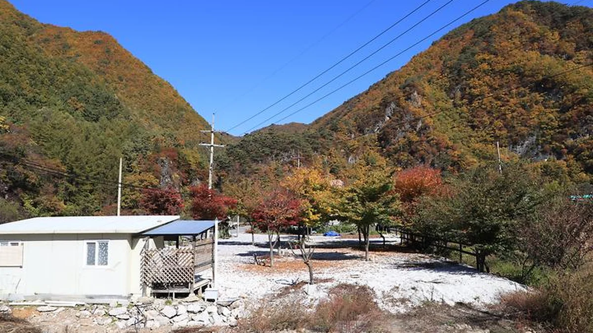 “5만 평 대지에 이런 캠핑장이 있다니?”… 가족과 특별한 휴식 여행지