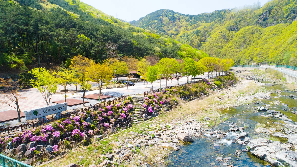 소선암 오토캠핑장