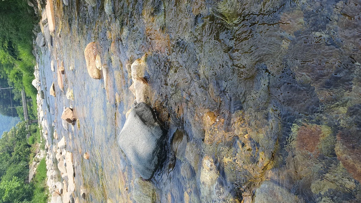 하우스 캠핑장