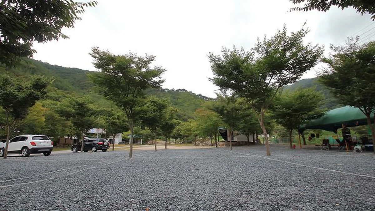 “캠핑장 면적이 3,000평이라고?”… 자연 그대로의 매력을 선사하는 명소