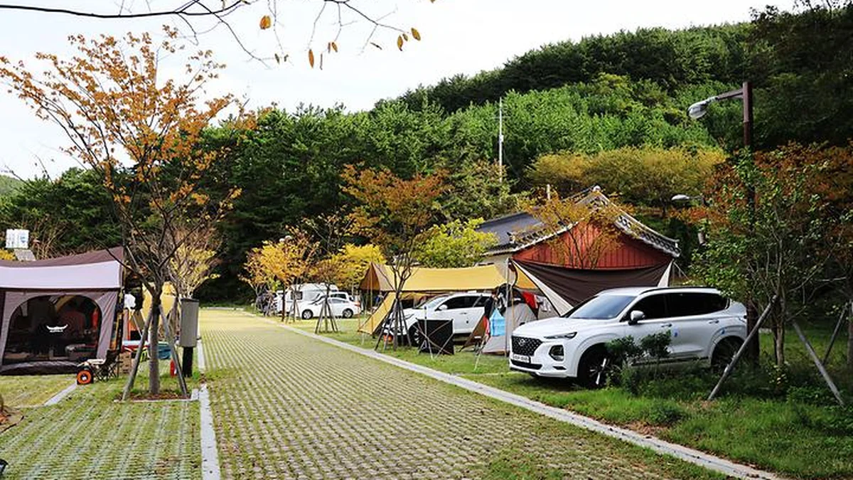 “한산섬 10,000평에서 이런 별밤을 볼 줄이야”… 자연과 역사가 어우러진 캠핑 명소