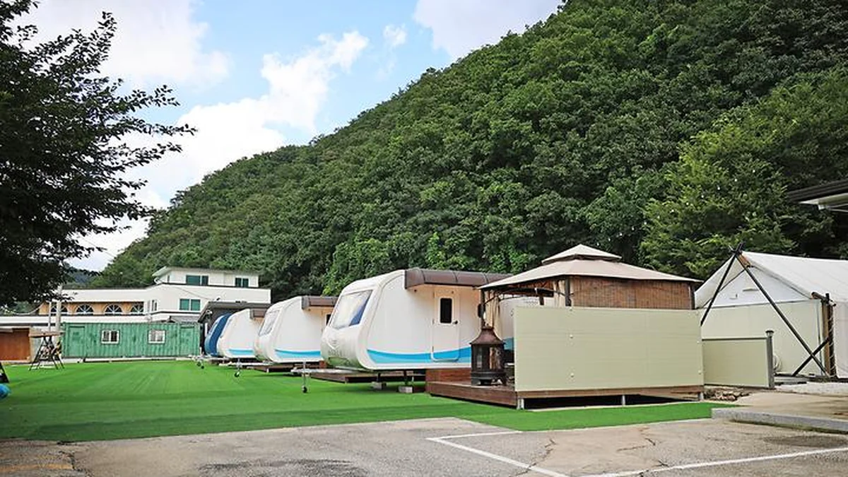 “50km 거리 이렇게 가까울 줄은 몰랐어요”… 반려견과 떠나는 포천 자연 명소