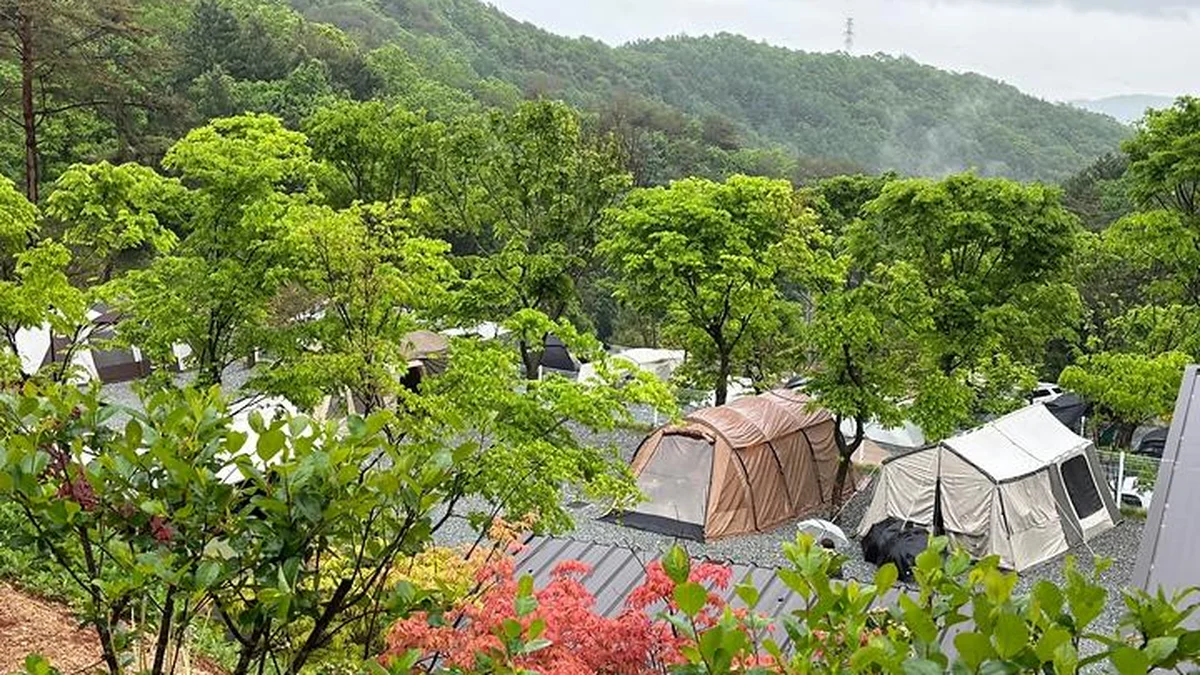 “30,000평에서 자연과 소곤소곤 할 수 있다니”… 가족과 함께하는 힐링 캠핑 명소