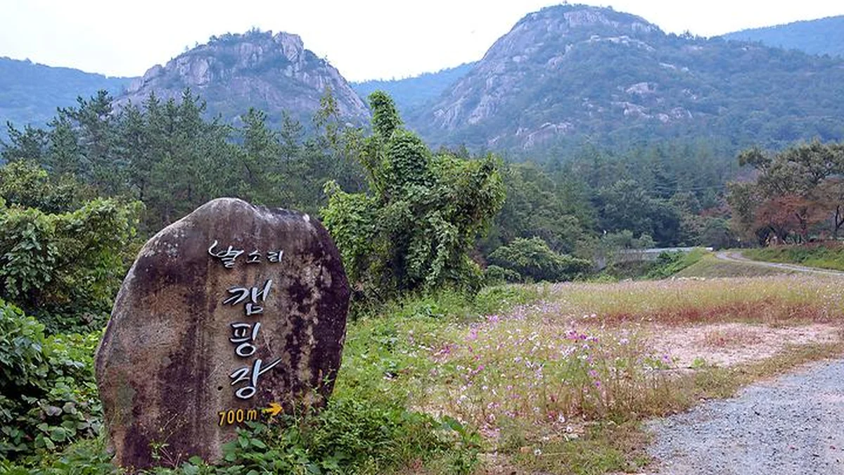 “밤하늘 가득 별빛을 진짜 볼 수 있다고?”… 울창한 숲 속 심신 휴식 캠핑 명소