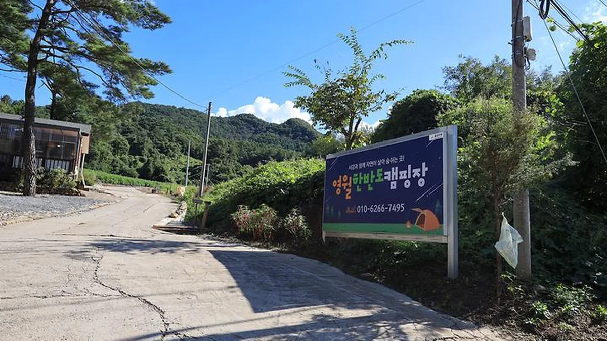 “영월에서 캠핑하니 이렇게 상쾌할 수가!”… 아침 햇살과 새소리 속 0원 캠핑 명소