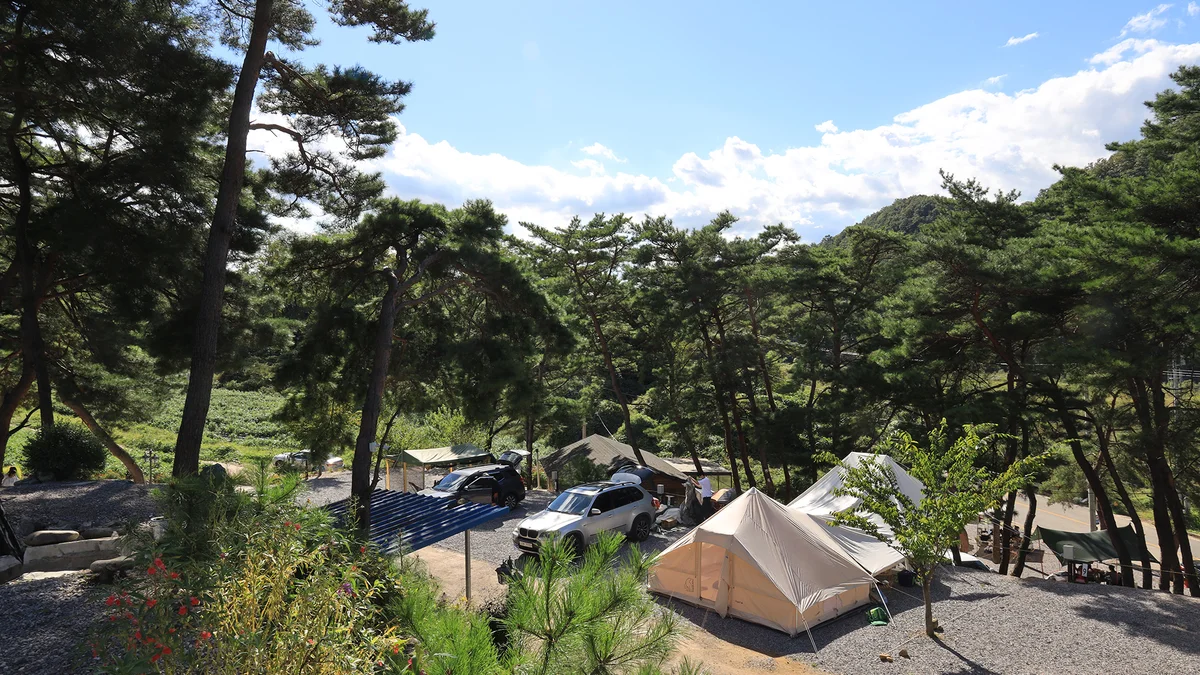 영월한반도캠핑장