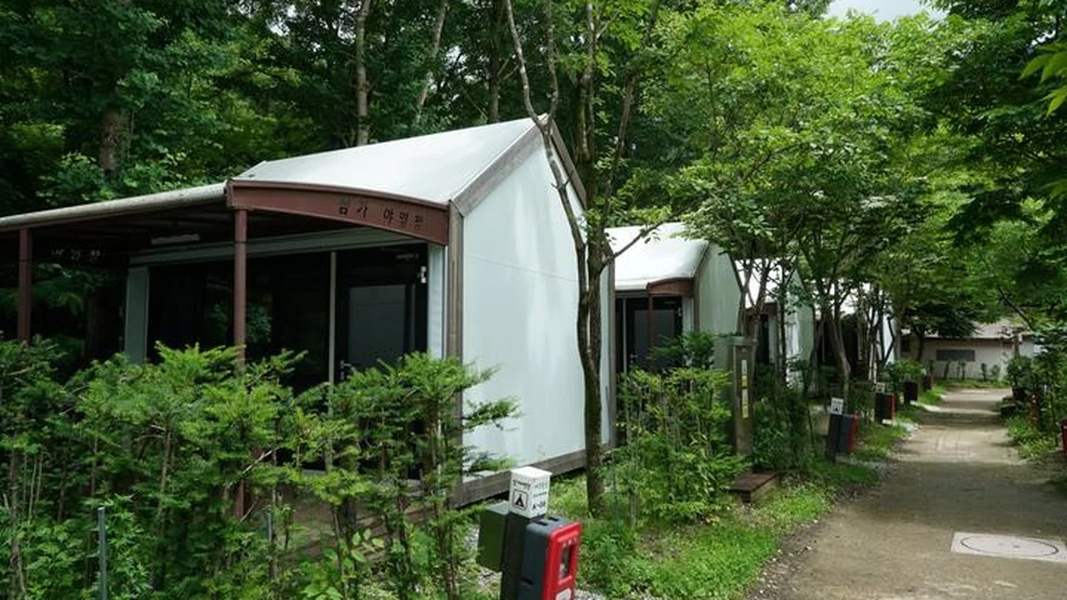 “이런 곳이 있다니…” 소백산 비로봉 아래 캠핑 명소
