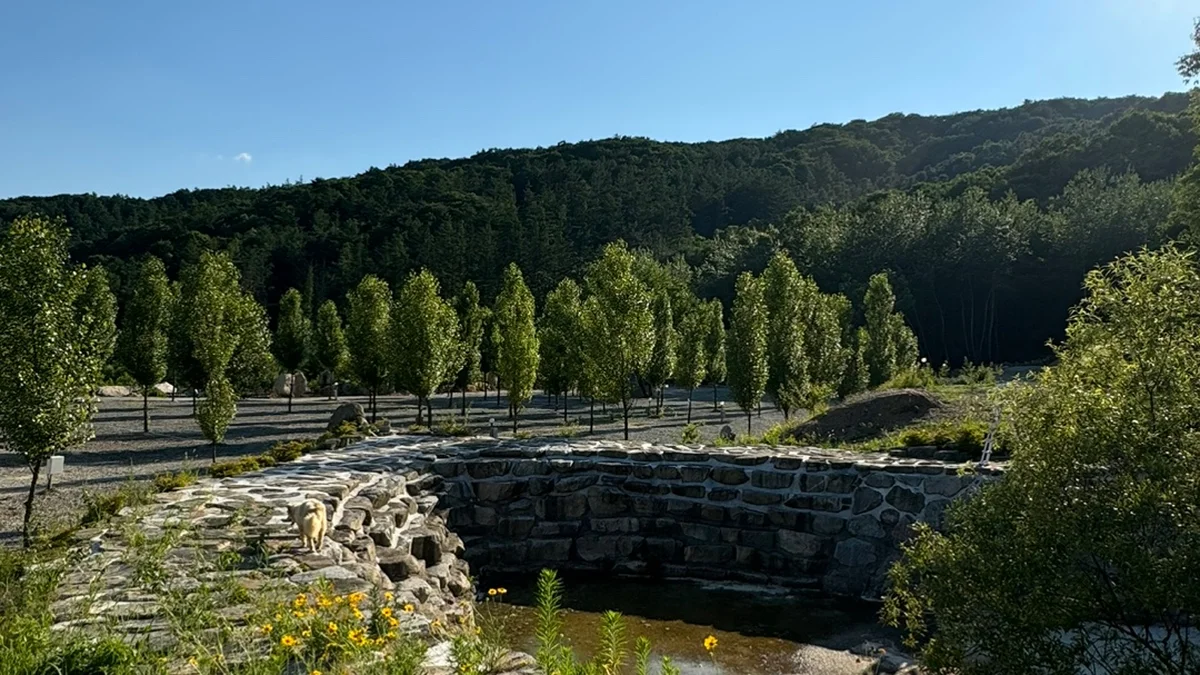 엘모로캠핑