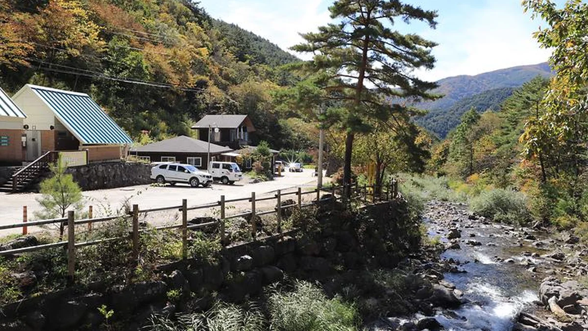 “진짜 자연 속 캠핑이라니?”… 여름철 필수 방문지 두타산자연휴양림