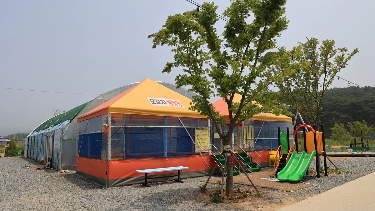 해미 모꼬지 캠핑장