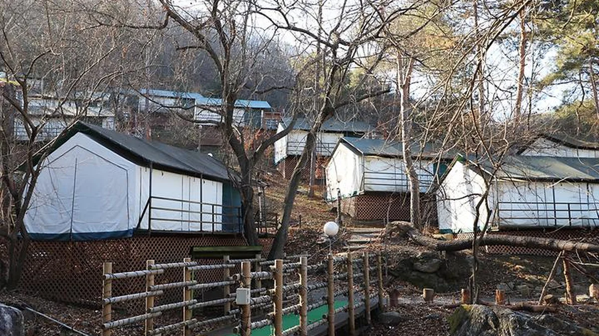 “300,000㎡ 숲 속에서 이렇게 힐링될 줄이야?”… 자연과 하나되는 명소