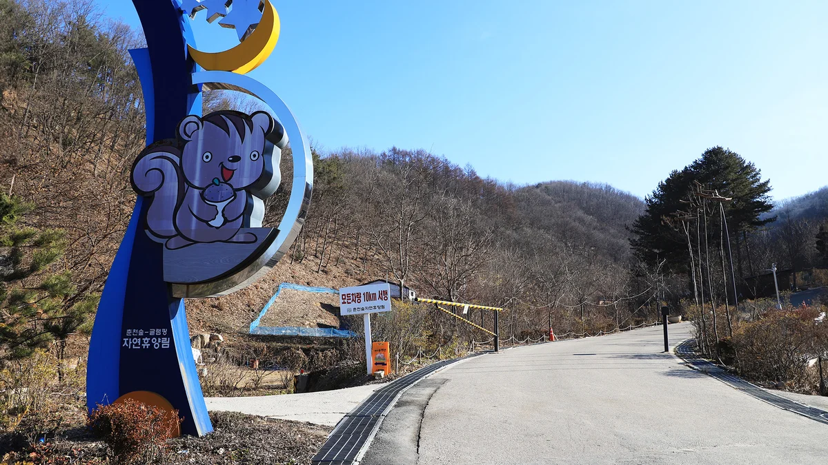 춘천숲자연휴양림