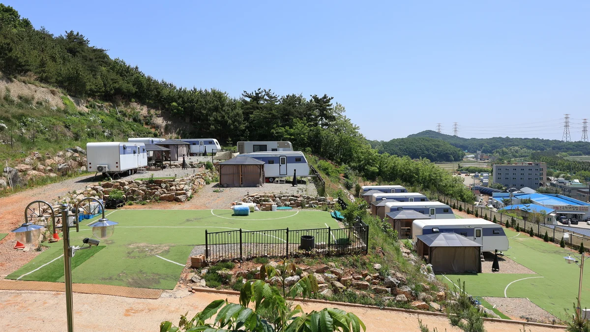 하버드카라반