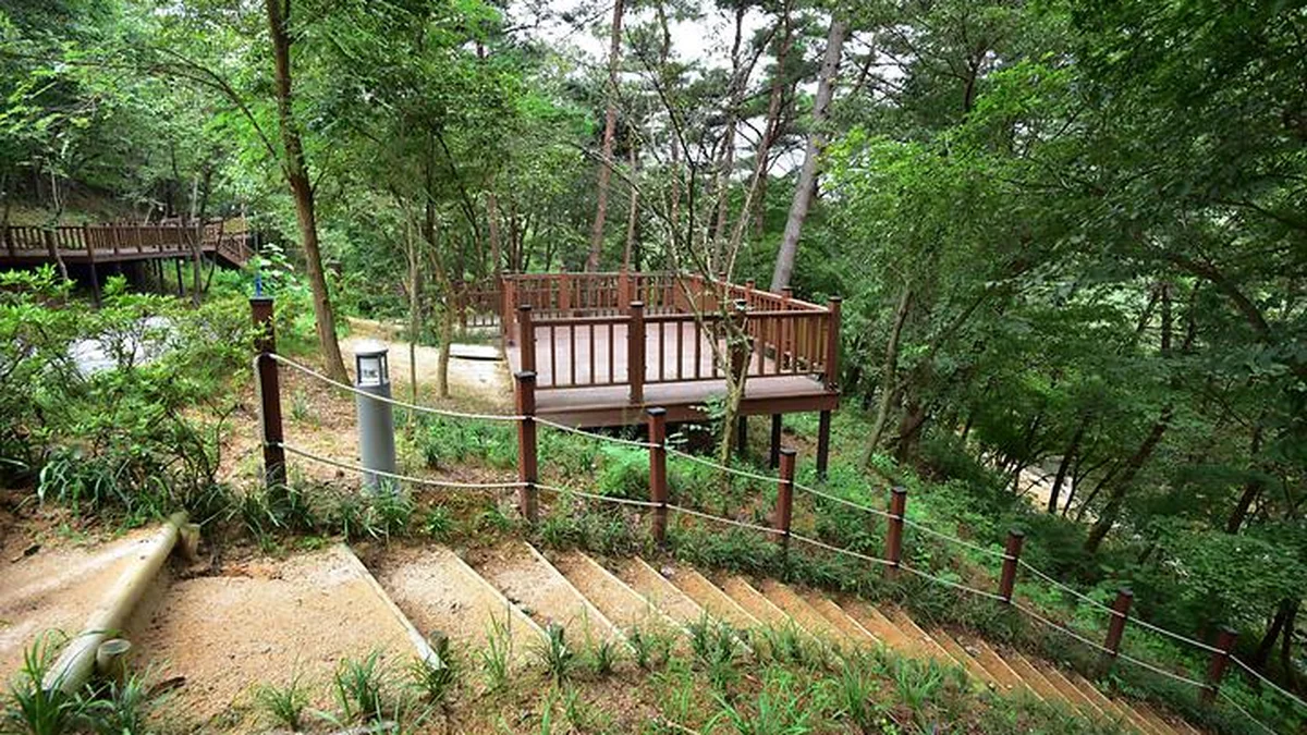 “50,000㎡에 이런 자연이라니!”… 한국문화 체험 캠핑 명소