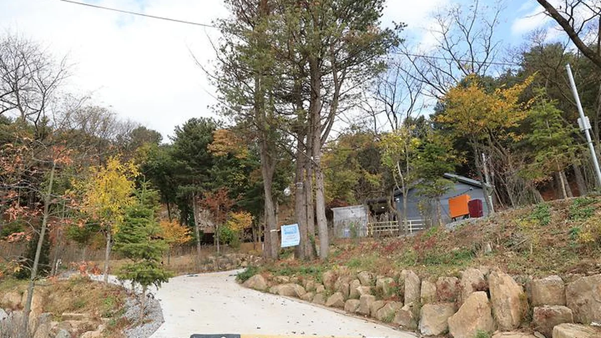 “10만㎡ 면적에 이런 자연이라니!”… 포천의 평화로운 쉼터 명소