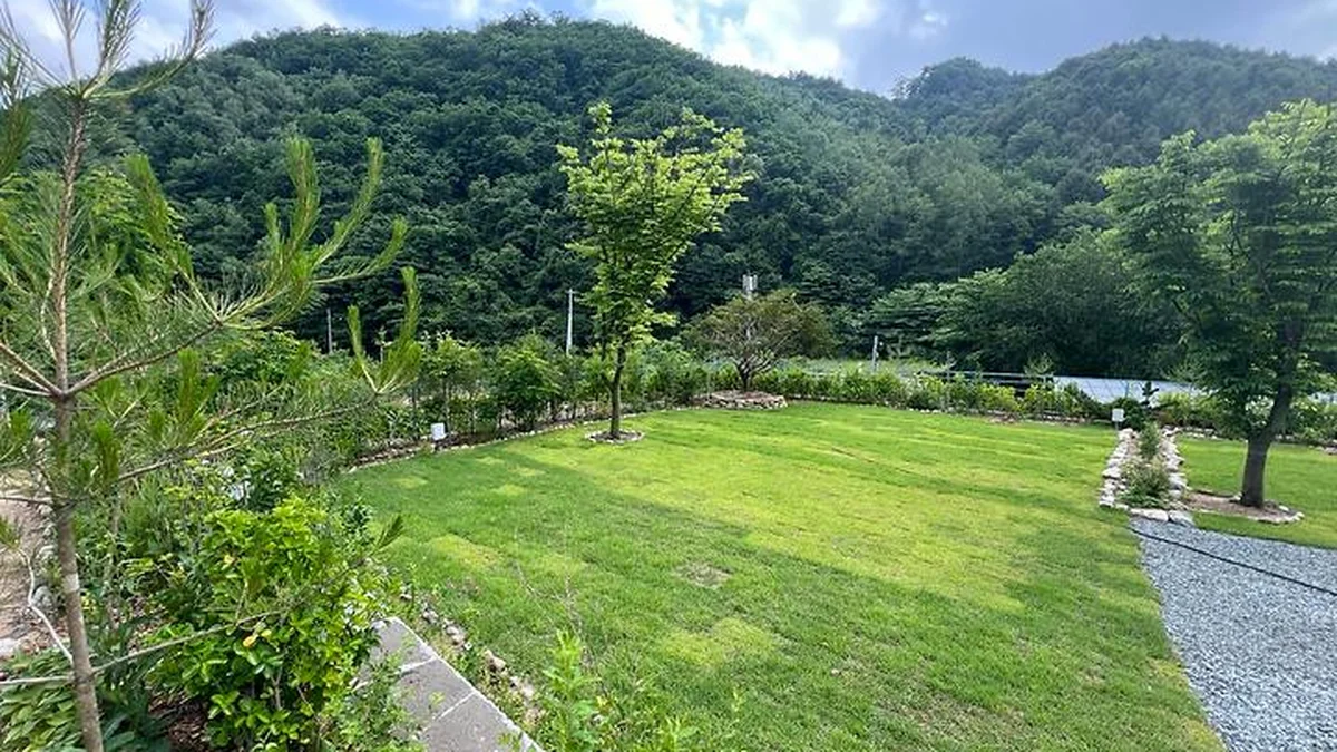 “도심에서 딱 2시간인데, 이런 자연이?”… 별이 쏟아지는 힐링 여행지