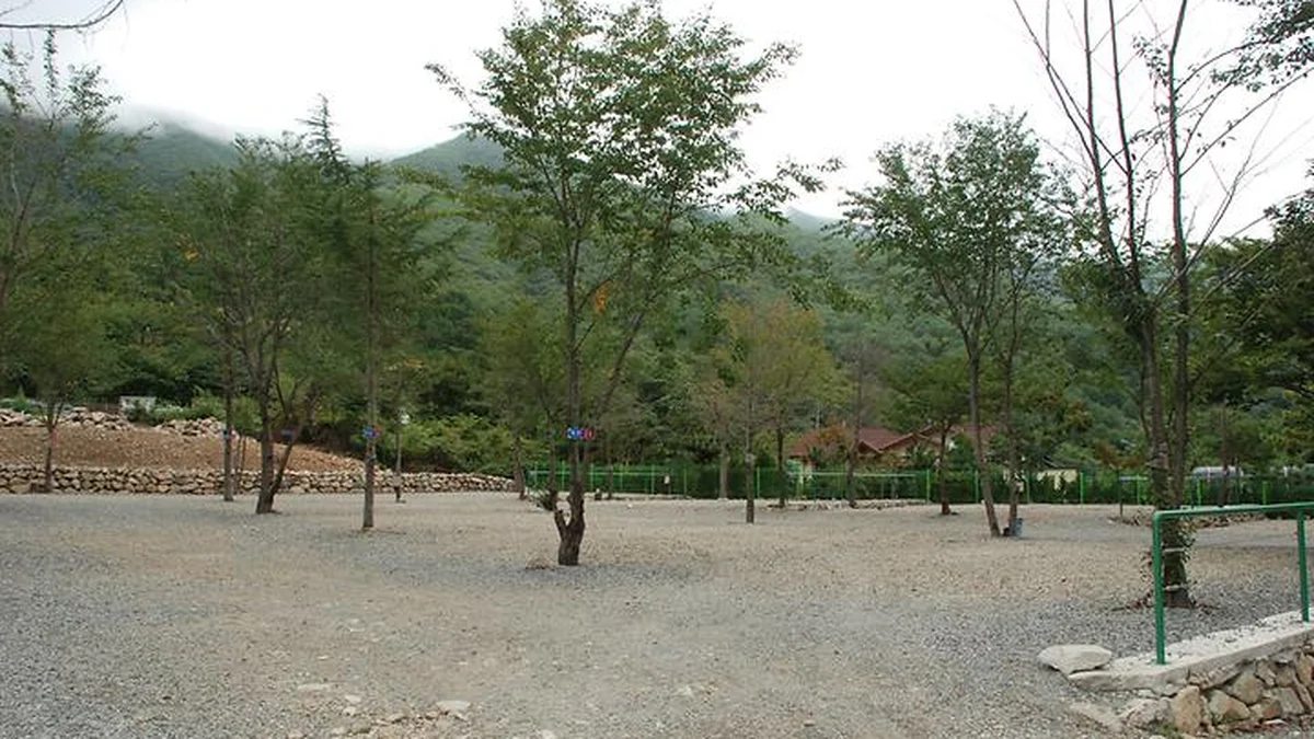 “경주에 이런 5만 평 캠핑장이?”… 울창 송림 속 자연 그대로의 휴양지