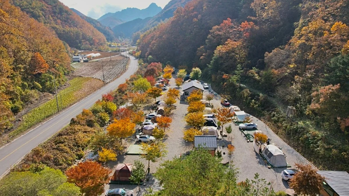 별빛뜰애