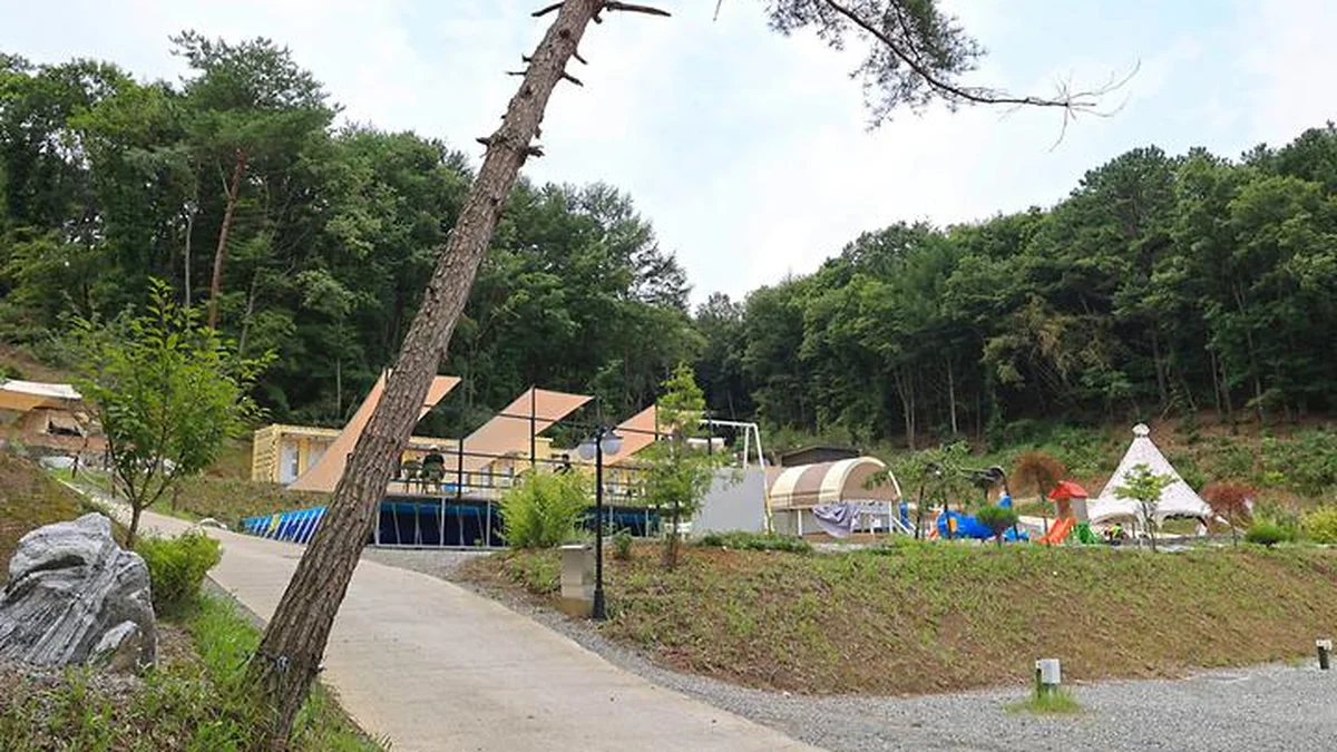 “서울에서 90km, 진짜 자연의 품으로 떠나보세요”… 반려동물과 함께하는 숲속 캠핑 명소
