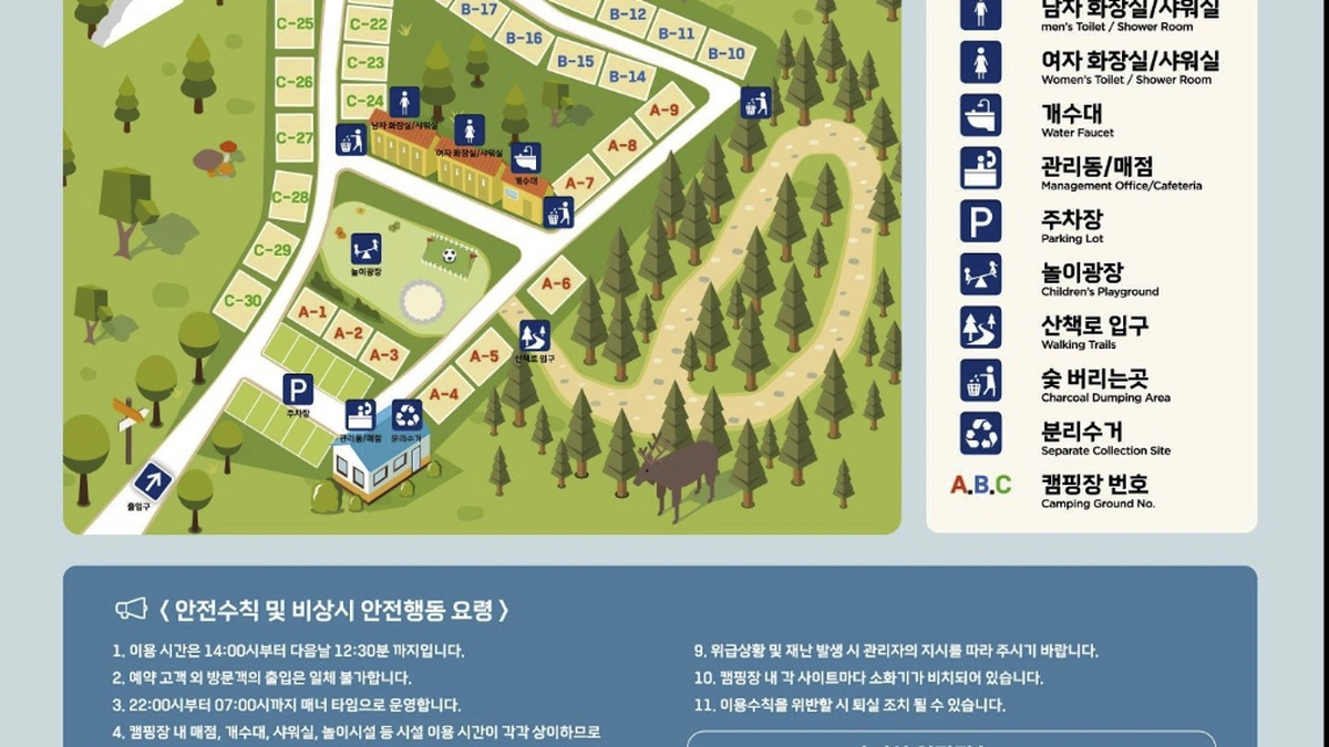 푸르른 캠핑장