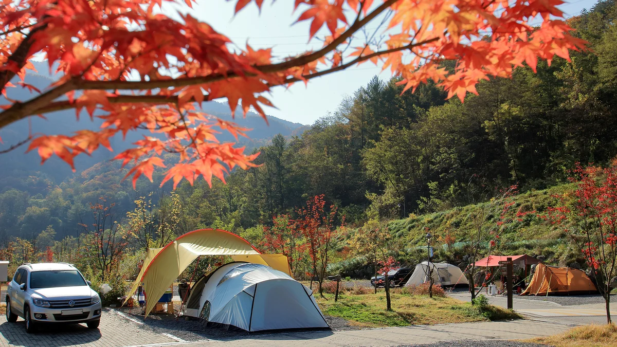 (주)하이원추추파크