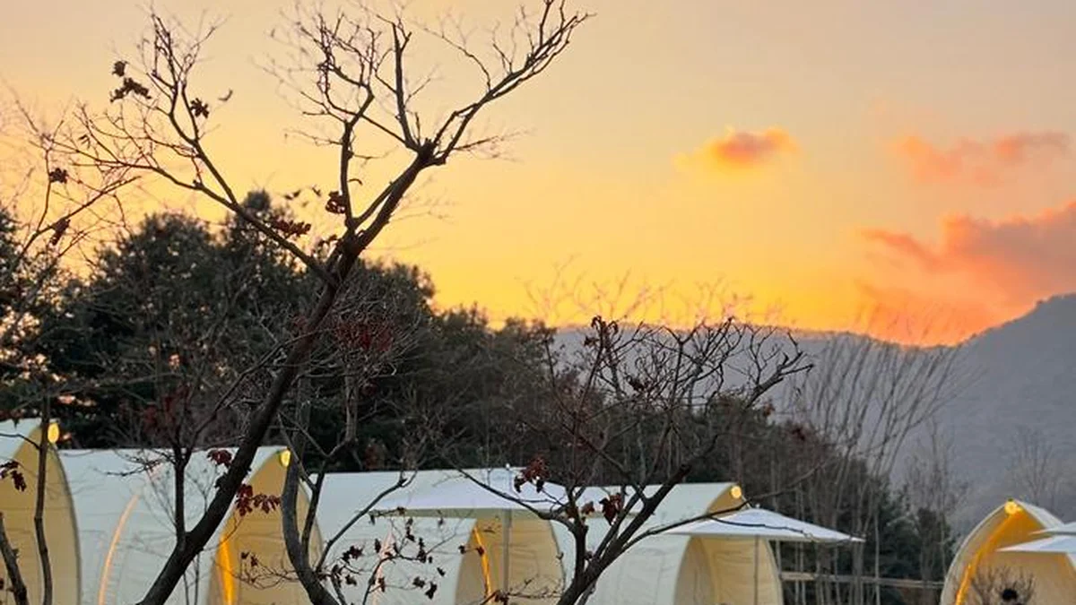 “바비큐 향에 놀랐어요”… 도보 5분만에 만나는 숲속 명소