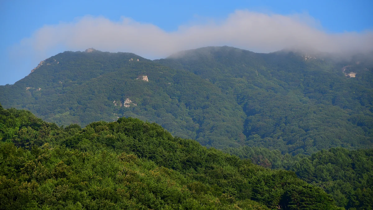 황매산 별쿵 캠핑장